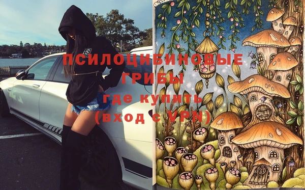 герыч Ельня