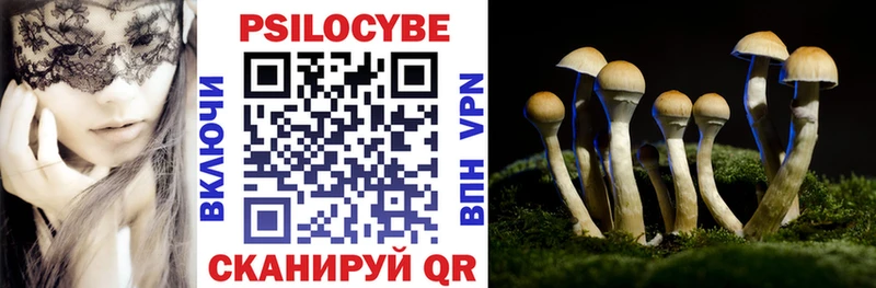 Псилоцибиновые грибы MAGIC MUSHROOMS  Купить  Туран 